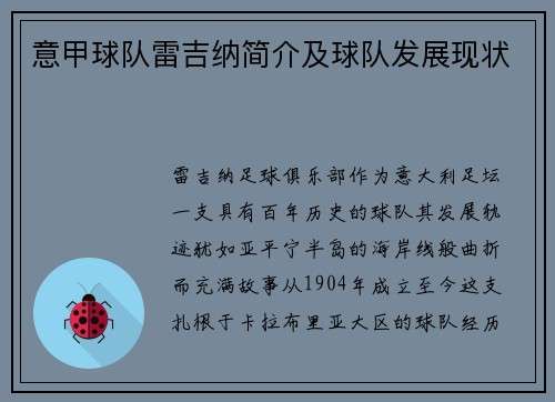 意甲球队雷吉纳简介及球队发展现状